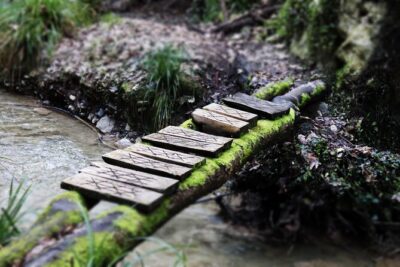 Half-Day River Trekking Stenosia from Kalamata - Stenosia Waterfalls: The First Payoff and the Walk That Builds Momentum