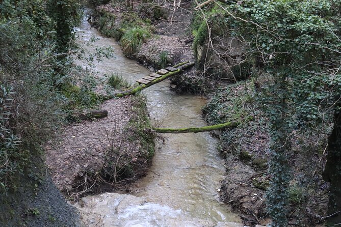Half-Day River Trekking Stenosia from Kalamata - What’s Included (So You Travel Lighter)