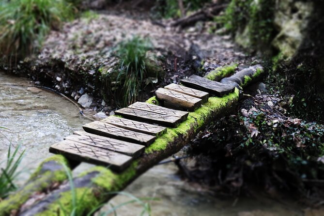 Half-Day River Trekking Stenosia from Kalamata - Stenosia Waterfalls: The First Payoff and the Walk That Builds Momentum