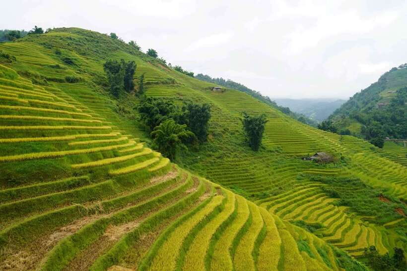Half Day Sapa Trekking to Visit Lao Chai - Ta Van - Key things I’d pin to your map