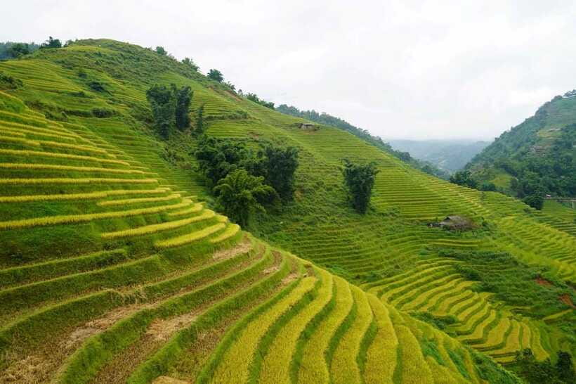 Half Day Sapa Trekking to Visit Lao Chai - Ta Van - Ta Van: a Dzay village with a slower, more personal feel