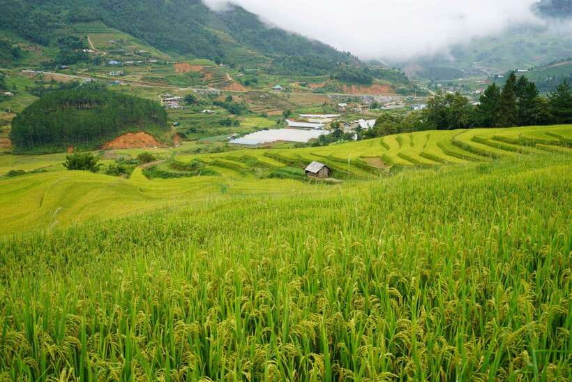 Half Day Sapa Trekking to Visit Lao Chai - Ta Van - How hard is it, really? (Spoiler: “easy” depends on your shoes)