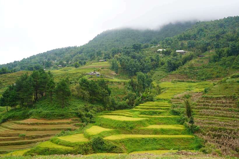 Half Day Sapa Trekking to Visit Lao Chai - Ta Van - Guides and English: where the quality really shows