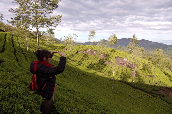 Half day trekking (munnar valley Trekking & Tours ) - Pacing that works: what 14 km feels like in real life