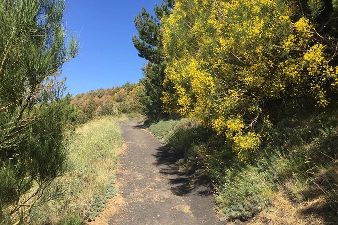 Half day Trekking Tour on Etna - The Guide Factor: Why People Keep Rebooking This Etna Style