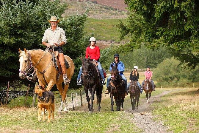 Half Day Walter Peak Horse Trek and Cruise from Queenstown - Pace, comfort, and safety: how to prepare like a pro