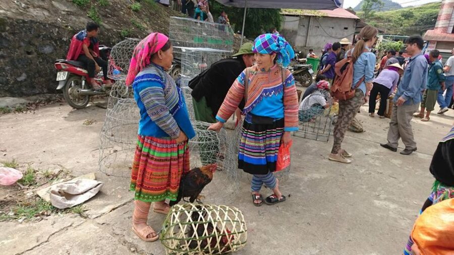 Hanoi: 2-Day Sa Pa Guided Village & Homestay Trekking Tour - Lunches and dinner: included meals, but plan for local style