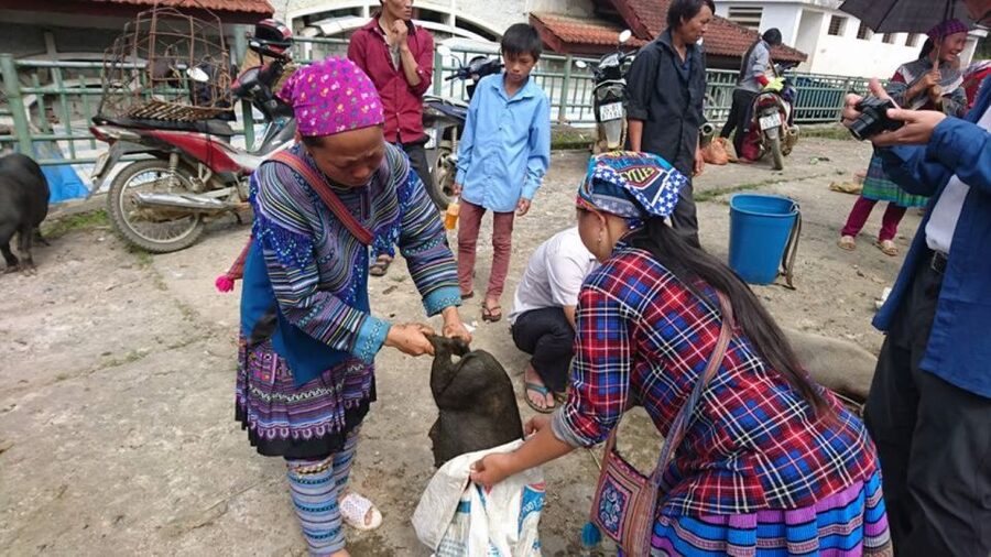 Hanoi: 2-Day Sa Pa Guided Village & Homestay Trekking Tour - Weather, fog, and altitude reality: when the mountains change plans