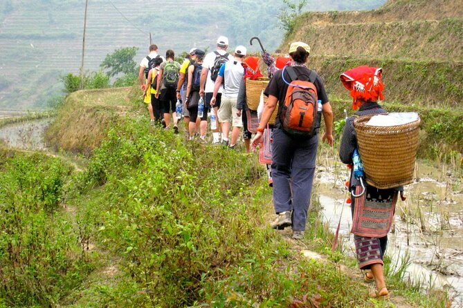 Hanoi- 2 Days Sapa moutain trekking with Local Guide and Homestay - Day 2 trekking: bamboo, rice fields, and a suspension bridge moment
