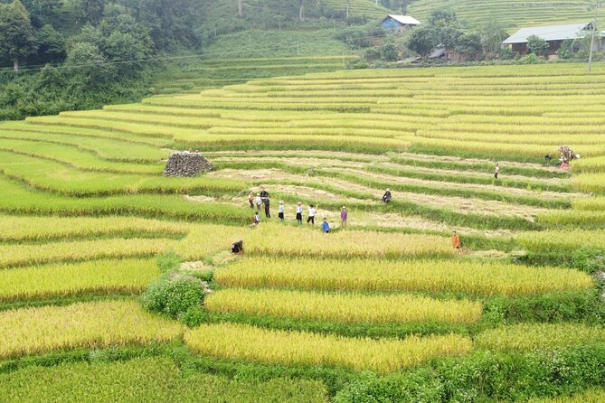 Hanoi - Sapa 2 Days 1 Night Overnight At Local Homestay - Comfort Level: Homestay vs. Expectation Games