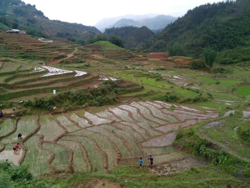 Hanoi- SaPa: 3-Day Homestay Trek to Explore Ethnic cultures - Day 3: Sunrise in Ban Ho Valley, Nam Tong Red Dzao Traditions, and the Hanoi Return