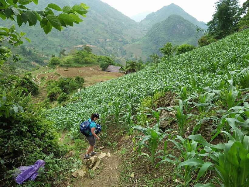 Hanoi- SaPa: 3-Day Homestay Trek to Explore Ethnic cultures - Price and Value: What $139 Covers (and What to Budget for)