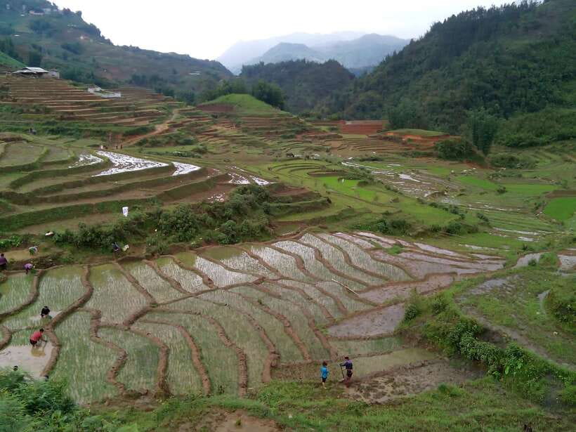 Hanoi- SaPa: 3-Day Homestay Trek to Explore Ethnic cultures - Guides Matter: English Support and Flexible Day Planning