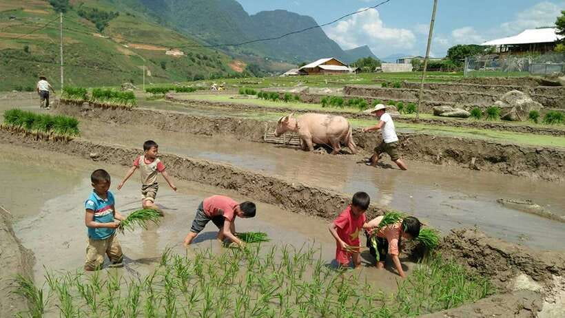 Hanoi- SaPa: 3-Day Homestay Trek to Explore Ethnic cultures - Packing for Sapa’s Cold Mornings and Trail Work