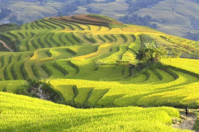 Hanoi-Sapa Trek 2 days 2 nights and Homestay with small group - From Hoàn Kiếm to Sapa: the trip flow behind the scenes