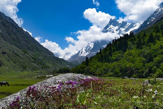 Har Ki dun Trek by Himalaya Shelter - Key highlights that make this trek work