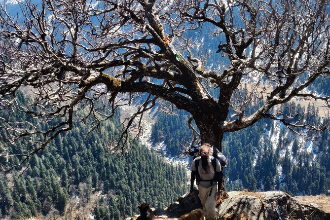Har Ki dun Trek by Himalaya Shelter - Har Ki Dun trek basics: Dehradun meeting at 6:30am, then straight to Sankri