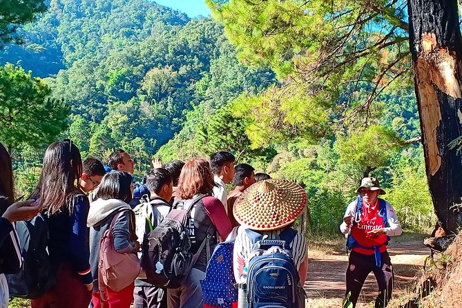 Hello, who like to make fantastic trek with the most experienced guide in Kalaw. - Key highlights you’ll feel fast
