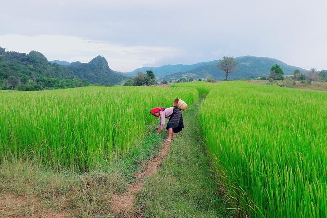 Hello, who like to make fantastic trek with the most experienced guide in Kalaw. - Don’t rush Kalaw: the sunset viewpoint tip before your trek