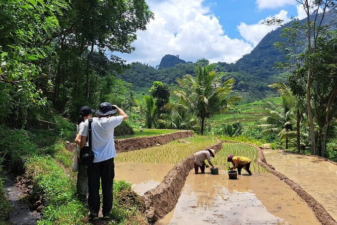 Hidden Waterfall & Selogriyo Rice Terraces Trek from Yogyakarta - Selogriyo Rice Terraces and Temple: A Walk Through Working Fields