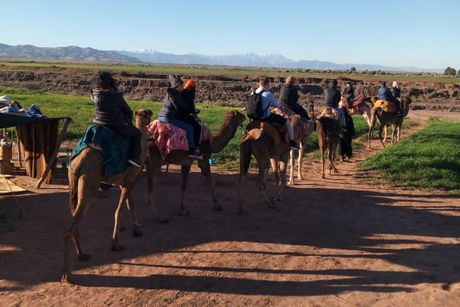 High Atlas Mountains Day Trip and Camel Trek - Round-trip comfort and group size: why “small” matters today