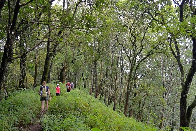 High Mountain Day Trek - Key moments you’ll actually care about