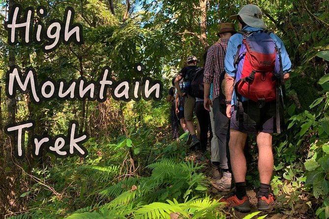 High Mountain Day Trek - Your guide turns plants into stories (and sometimes into tastes)