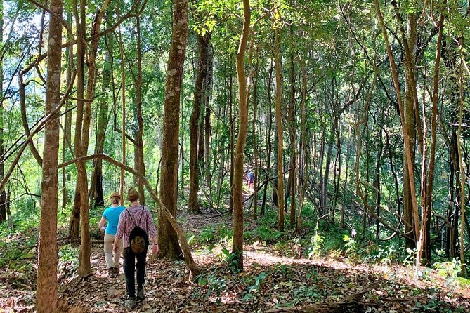 High Mountain Day Trek - Mountain ridge trails and village paths: what the walking feels like