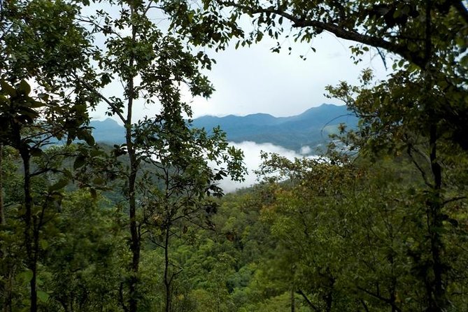 High Mountain Day Trek - Lunch at a rustic homestay: what makes it feel worth it