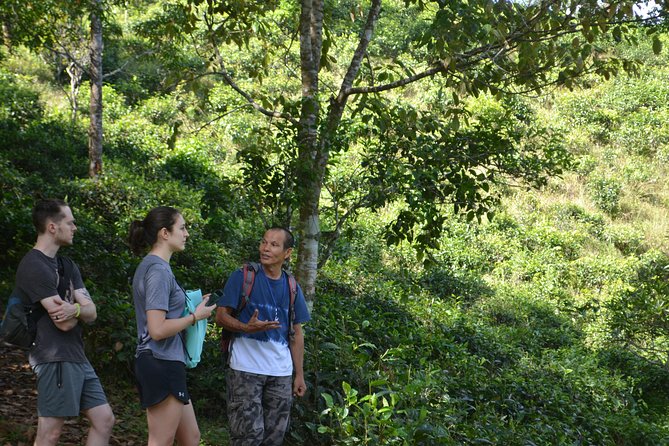 High Mountain Day Trek - Price and logistics: why $63 can make sense