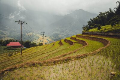 Highland Harmony Trek in Sapa - Muong Hoa Valley: the gentle descent that sets the tone