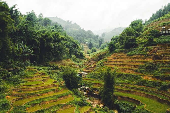 Highland Harmony Trek in Sapa - Pace, paths, and weather: how hard is it, really?