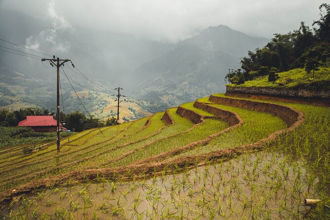 Highland Harmony Trek in Sapa - Muong Hoa Valley: the gentle descent that sets the tone