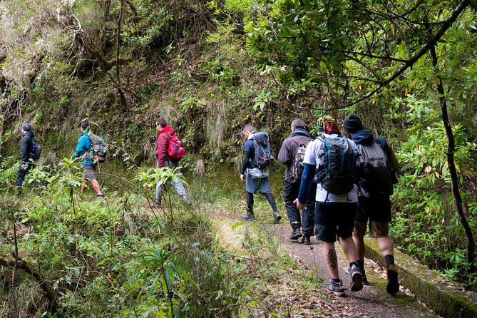 Hiking and Trekking tours in Madeira - Key highlights