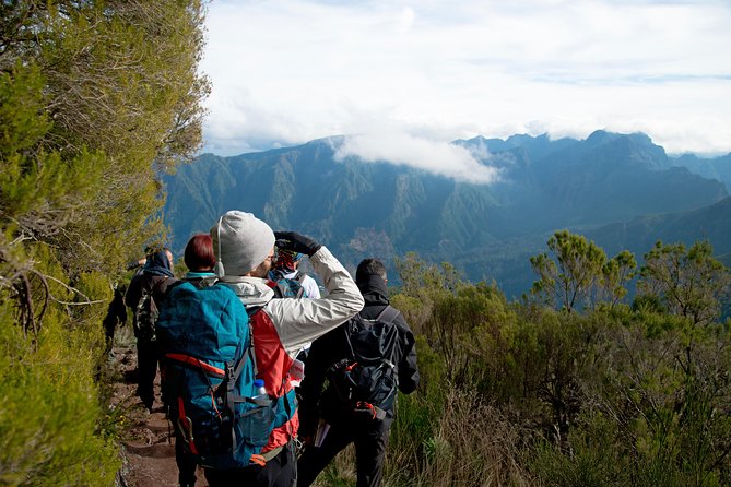Hiking and Trekking tours in Madeira - How a levada hike works when you don’t want logistics