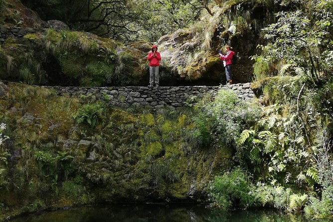 Hiking and Trekking tours in Madeira - Volcanic views, forest walks, and the “why am I looking at this?” moments