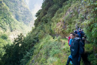 Hiking and Trekking tours in Madeira - The 7-hour trail rhythm: what you actually do