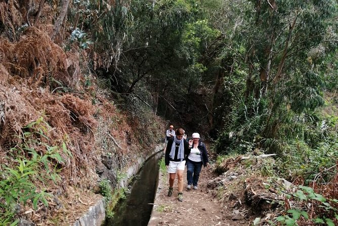 Hiking and Trekking tours in Madeira - Small group, real conversation: why eight people matters