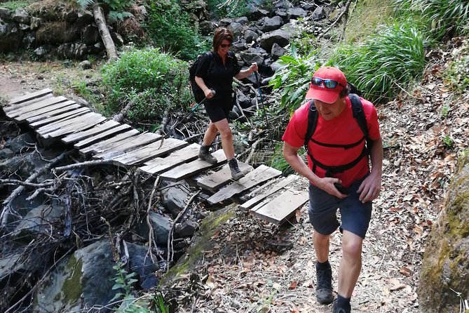 Hiking and Trekking tours in Madeira - English guide experience: how explanations shape the walk
