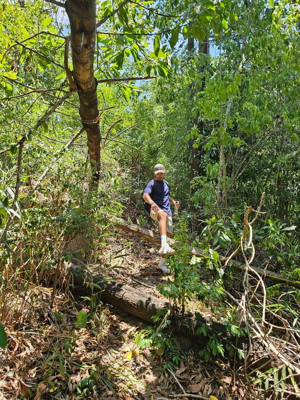 Hoi An: Amazing My Son Sanctuary and Mountain Trekking - Coffee, Egg Bahn Mi, and BBQ: The Mid-Morning Reset