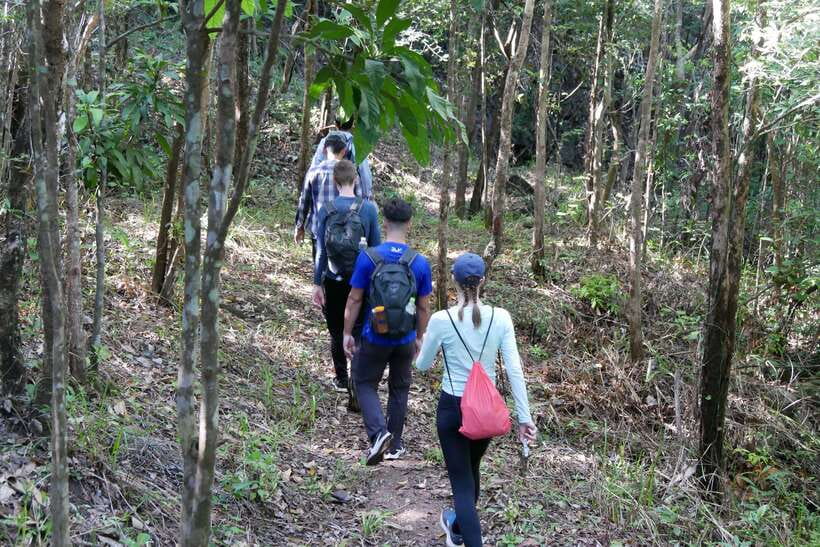 Hoi An: Amazing My Son Sanctuary and Mountain Trekking - The Trek Itself: Rugged Trails, Real Nature, Not a Theme Park