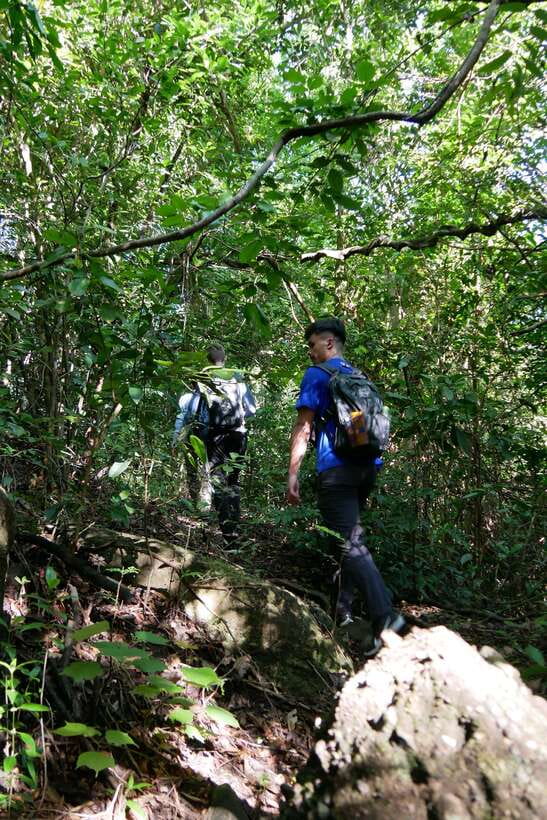 Hoi An: Amazing My Son Sanctuary and Mountain Trekking - Wildlife, Streams, and Birdsong: What You Should Expect to Notice