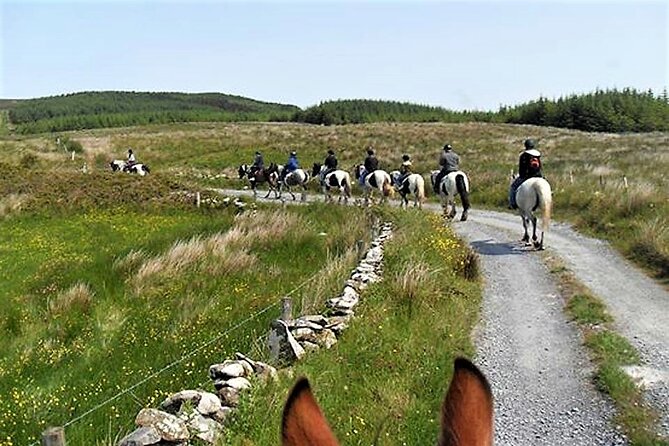 Horse riding - Dirt Trek Trail. Lisdoonvarna, Clare. Guided. 1 hour. - Horses, safety gear, and animal welfare rules