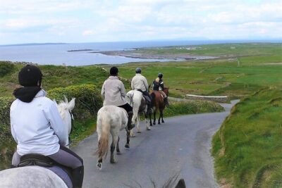 Horse riding - Dirt Trek Trail. Lisdoonvarna, Clare. Guided. 1 hour. - The Burren connection: famine ruins and old stone texture