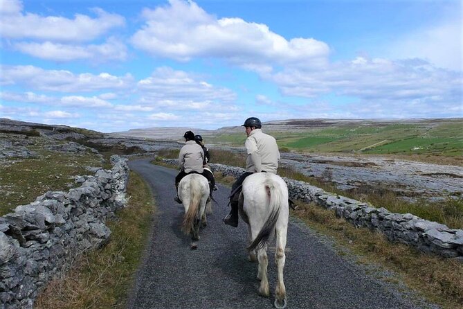 Horse riding - Dirt Trek Trail. Lisdoonvarna, Clare. Guided. 1 hour. - Gear and pacing: what it feels like when it’s your first ride
