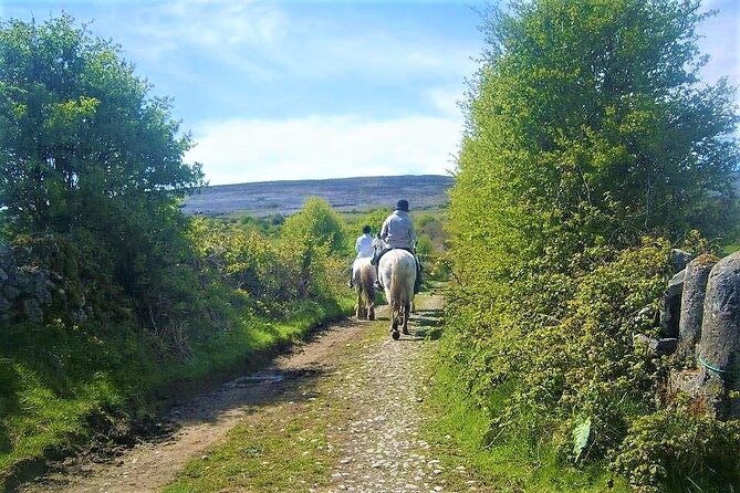 Horse riding - Dirt Trek Trail. Lisdoonvarna, Clare. Guided. 1 hour. - Price and value: is $121.62 for one hour worth it?
