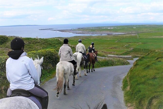 Horse riding - Dirt Trek Trail. Lisdoonvarna, Clare. Guided. 1 hour. - The Burren connection: famine ruins and old stone texture