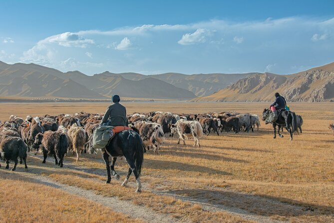 Horse Trek to Kel Suu Lake - Horses, guide style, and what “well-organized” actually means here
