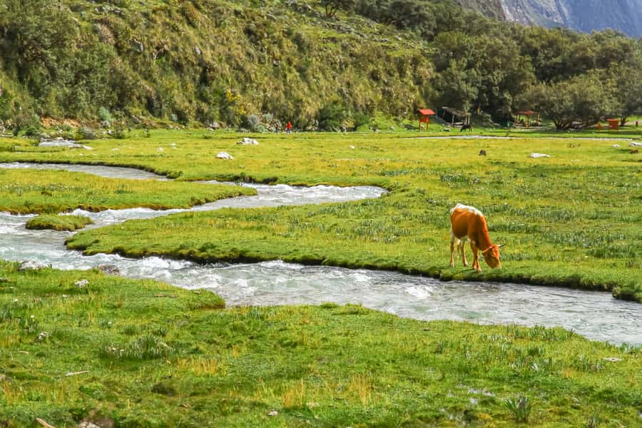Huaraz: 3-hour Trek to Laguna 69 with Optional Lunch - Who this trek suits best (and who should think twice)