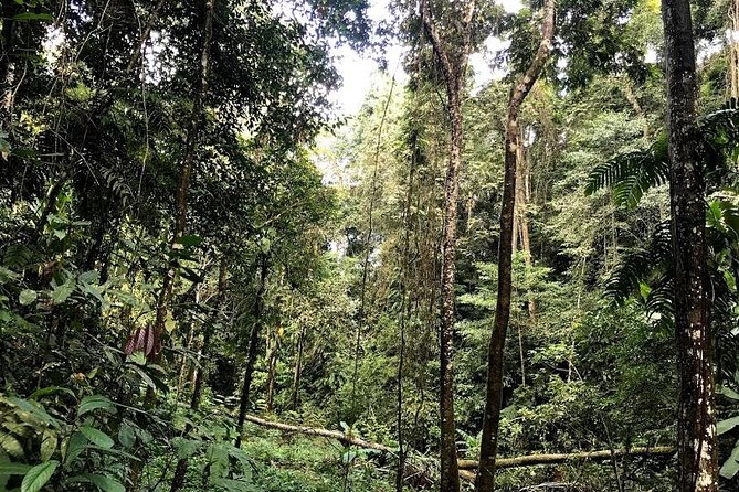 Hunter Trails, 3 days difficult trekking with Camping & Homestay - Homestay and cultural contact: Khmu context, practical morning work, and the value of respectful learning